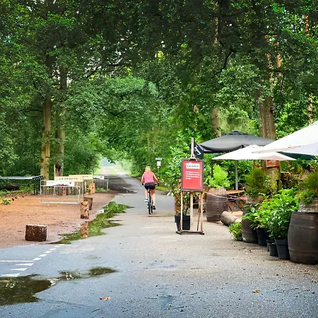 Natuurrijk Chalet Oisterwijk