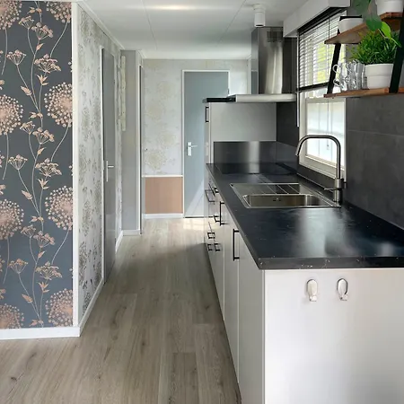 Chalet Natuurrijk Oisterwijk