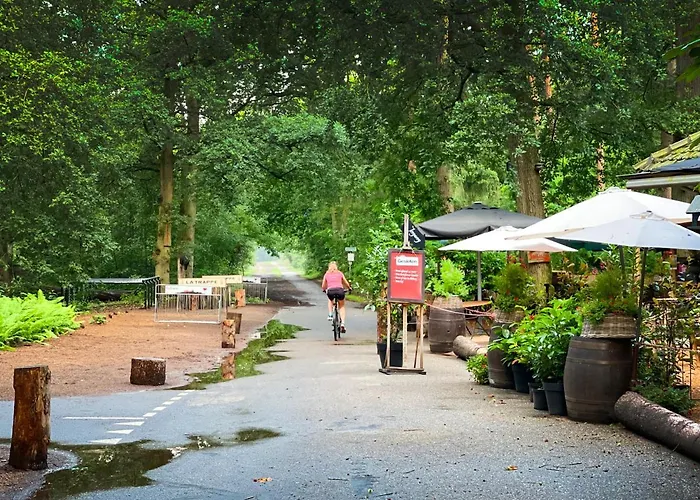 Natuurrijk Chalet Oisterwijk